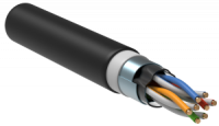 LC3-C5E04-389