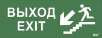 Самоклеящаяся этикетка "Выход/лестница вниз/фигура" для ССА (LPC10-1-35-13-VLVNF)